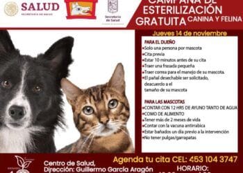 Buenavista ofrece ¡GRATIS! este jueves esterilización Canina y Felina, se llevará a cabo en Pinzándolo