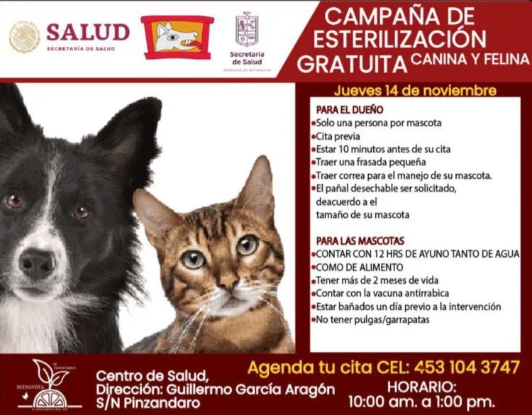 Buenavista Ofrece ¡Gratis! Este Jueves Esterilización Canina Y Felina, Se Llevará A Cabo En Pinzándolo
