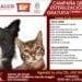 Buenavista Ofrece ¡Gratis! Este Jueves Esterilización Canina Y Felina, Se Llevará A Cabo En Pinzándolo