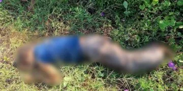 Expertos Y Brigadistas Se Reúnen En Michoacán Para Impulsar Una Cultura De Manejo Del Fuego