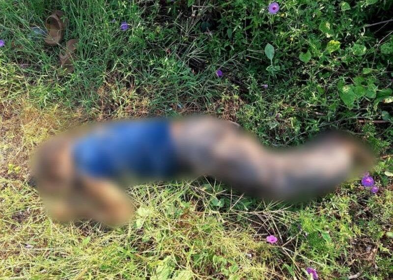 Localizan cadaver en la Huerta | El Día de Michoacán