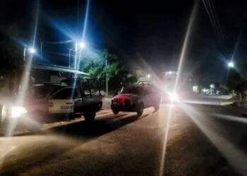 Así Puedes Prevenir El Dengue En Tu Hogar; La Ssm Te Dice Cómo