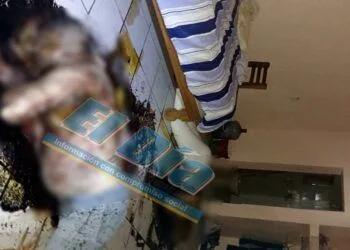 Invita Compesca A Participar En Torneo De Pesca Deportiva En Lázaro Cárdenas