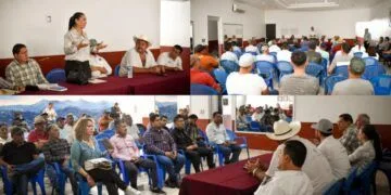 Buenavista Busca Organizar La Cadena Productiva Del Limón Para Mejorar Precio