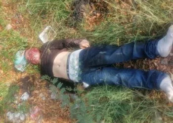 En Parácuaro, Abandonan Cadáver A Un Costado De La Carretera Apatzingán - Cuatro Caminos 21 Arrancan Mesas De Trabajo Del Plan Municipal De Desarrollo De Morelia 2024-2027