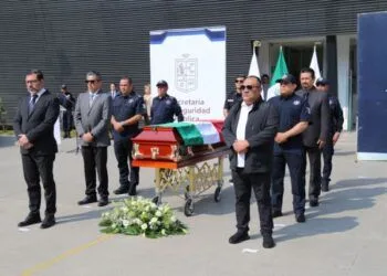 Así Puedes Prevenir El Dengue En Tu Hogar; La Ssm Te Dice Cómo