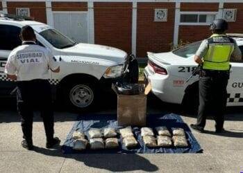 SSP y Guardia Nacional decomisan más de 10 kg de mariguana en Uruapan