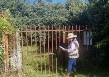 Inicia Proceso Electoral Para Elegir Juzgadoras Y Juzgadores Por Voto Popular En Michoacán