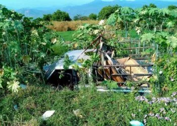 Resuelve Tus Dudas Sobre Sexualidad En Este Sitio Web De La Ssm