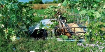 Resuelve Tus Dudas Sobre Sexualidad En Este Sitio Web De La Ssm