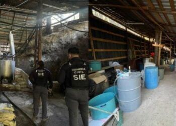 Desmantelan En Tzitzio Laboratorio De Droga Con Valor De 3 Mil Mdp: Ssp