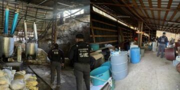 Desmantelan En Tzitzio Laboratorio De Droga Con Valor De 3 Mil Mdp: Ssp 22 Desmantelan En Tzitzio Laboratorio De Droga Con Valor De 3 Mil Mdp: Ssp