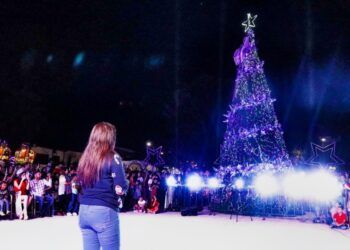 Árbol Navideño En Apatzingán  Se Celebra Con Unión Y Esperanza: Fanny Arreola