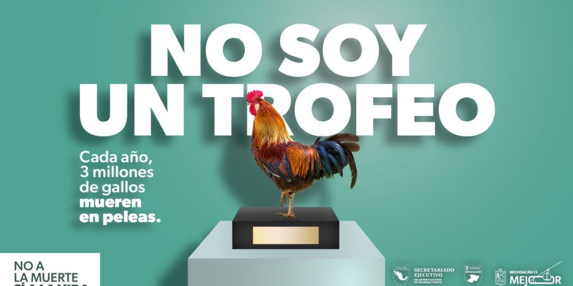 No son trofeos | El Día de Michoacán