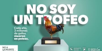 Animales No Son Un Regalo; Sesesp Concientiza Para Combatir Maltrato Y Abandono