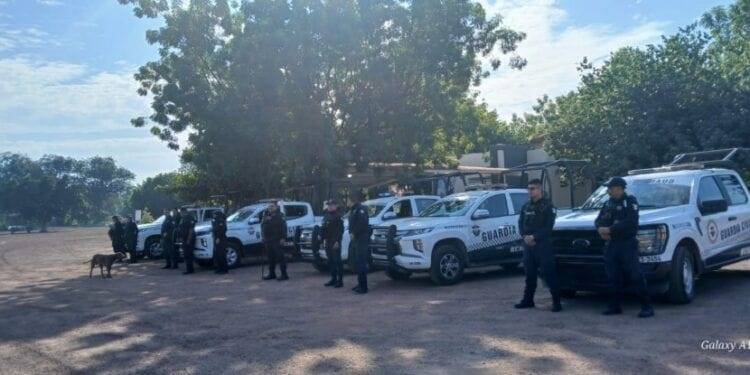 SSP y Defensa mantienen presencia en Apatzingán para garantizar flujo comercial del limón