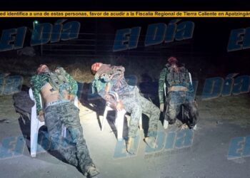 Dejan 3 Cadáveres En Sillas Y Con Disparos En La Cabeza En Proximidades Del Vivero Municipal De Apatzingán