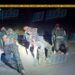 Dejan 3 Cadáveres En Sillas Y Con Disparos En La Cabeza En Proximidades Del Vivero Municipal De Apatzingán 25 Dejan 3 Cadáveres En Sillas Y Con Disparos En La Cabeza En Proximidades Del Vivero Municipal De Apatzingán
