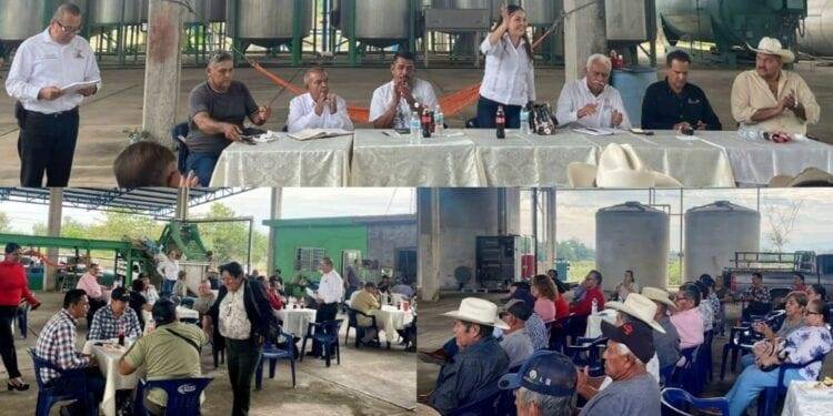 Encabezan Irma Moreno y Cuauhtémoc Ramírez, reunión con la Sociedad Cooperativa Limoneros del Valle de Tierra Caliente en Buenavista