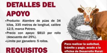 Ayuntamiento De Buenavista Lanza Convocatoria Para Apoyo A Ganaderos 24 Ayuntamiento De Buenavista Lanza Convocatoria Para Apoyo A Ganaderos