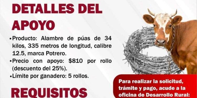 Ayuntamiento de Buenavista lanza convocatoria para apoyo a Ganaderos 1 Ayuntamiento de Buenavista lanza convocatoria para apoyo a Ganaderos