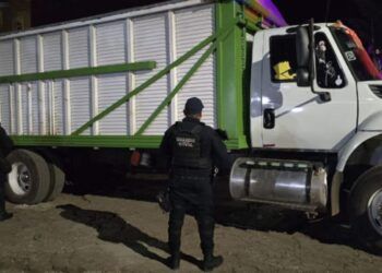 Ssp Recupera Camión Robado En Uruapan Con Más De 8 Toneladas De Aguacate