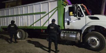 Ssp Recupera Camión Robado En Uruapan Con Más De 8 Toneladas De Aguacate