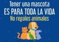 Fiscalía Refuerza Acciones Para Erradicar La Venta De Animales En El Operativo De Día De Reyes