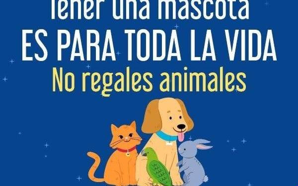 Fiscalía refuerza acciones para erradicar la venta de animales en el operativo de Día de Reyes