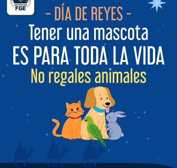 Fiscalía Refuerza Acciones Para Erradicar La Venta De Animales En El Operativo De Día De Reyes