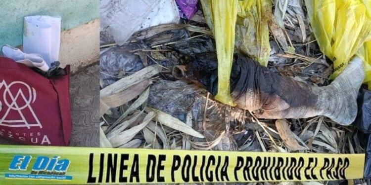 Cabeza humana es localizada en la puerta de la ECA; ya son cinco en menos de una semana