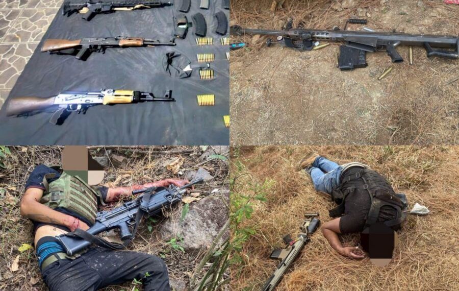 En Zirahuén, FGE asegura predio relacionado en tala y cultivo ilegal de aguacate