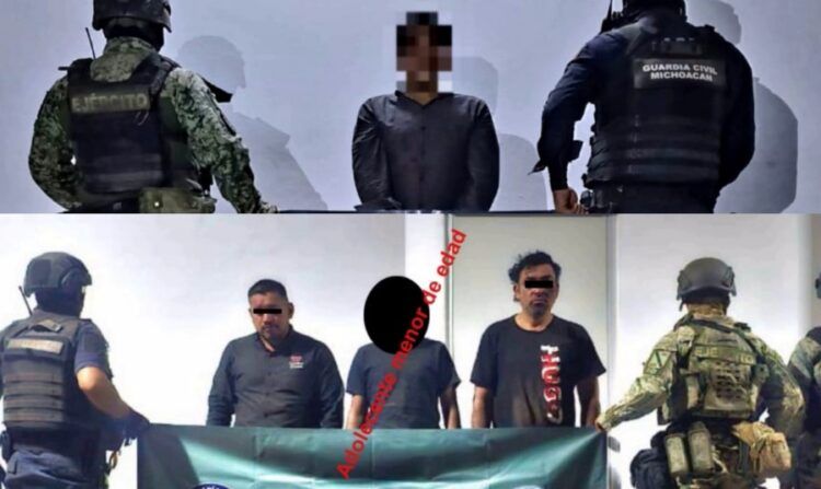 En Zirahuén, Fge Asegura Predio Relacionado En Tala Y Cultivo Ilegal De Aguacate