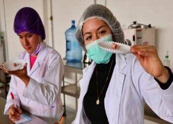 Abren institutos tecnológicos de Michoacán proceso de admisión 2025: Iemsysem
