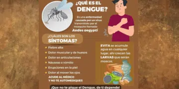 Así Se Siente El Dengue Grave; Ssm Brinda Atención Gratuita