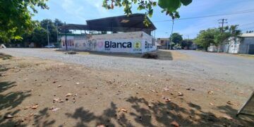 Recuperar Espacios Públicos Y Fortalecer La Iluminación En Toda La Colonia Aviación: Carlos Espinoza