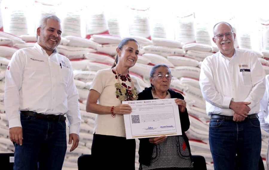 Celebra Bedolla Que Sheinbaum Arrancará En Michoacán Programa Cosechando Soberanía