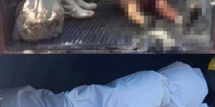 Dos muertos tras estallido de Mina terrestre en Santa Ana Amatlán 1 Vinculan a proceso a José Alberto “N”, presunto responsable de homicidio en grado de tentativa, en agravio de dos servidores públicos en Buenavista
