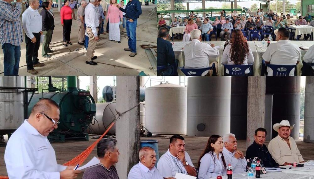 Transformación Económica En Buenavista: El Impulso De Irma Moreno Al Proyecto Citricultor Del Valle De Tierra Caliente