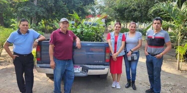 El Vivero Municipal de Apatzingán hace donación para la reforestación de jardineras del Cecytem 1 El Vivero Municipal de Apatzingán hace donación para la reforestación de jardineras del Cecytem