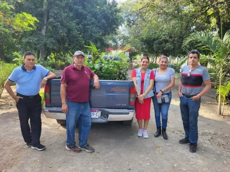 El Vivero Municipal De Apatzingán Hace Donación Para La Reforestación De Jardineras Del Cecytem 20 El Vivero Municipal De Apatzingán Hace Donación Para La Reforestación De Jardineras Del Cecytem