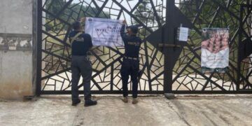 En Zirahuén, Fge Asegura Predio Relacionado En Tala Y Cultivo Ilegal De Aguacate