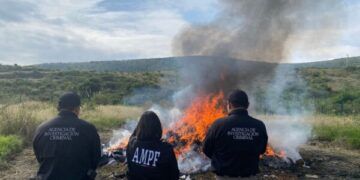 Dan A Conocer Resultados De La Fgr En Michoacán Durante El Mes De Enero 2025