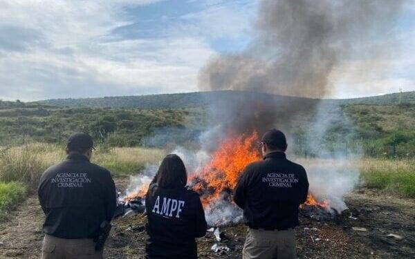 Dan a conocer resultados de la FGR en Michoacán durante el mes de enero 2025