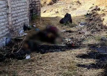 Hallan Cadáver Calcinado En Predio De Jacona