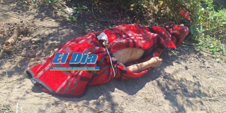 Disparan contra caseta de policía en Buenavista; no hay heridos