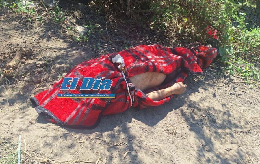 Disparan contra caseta de policía en Buenavista; no hay heridos