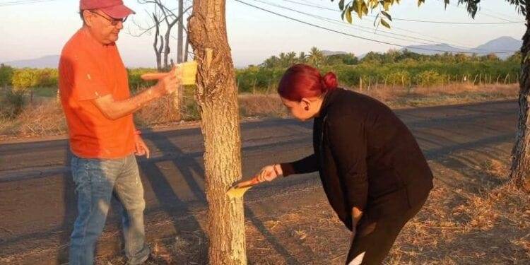Mañana regresan a clases más de 26 mil estudiantes del Cecytem