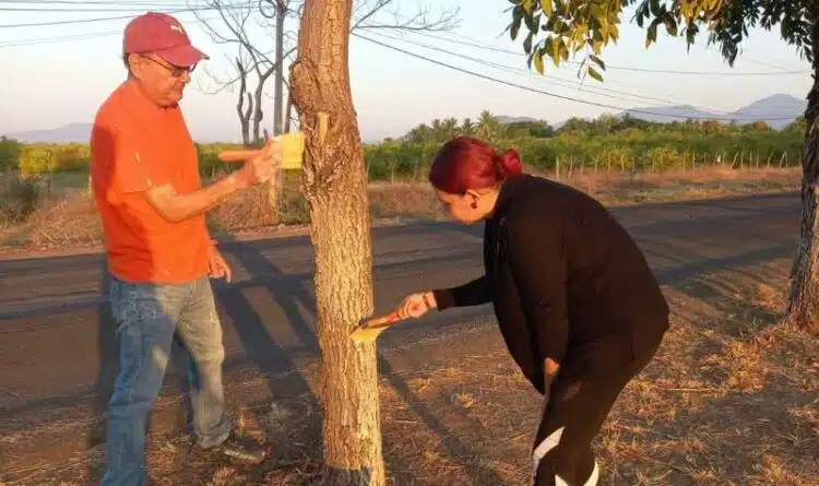 Mañana Regresan A Clases Más De 26 Mil Estudiantes Del Cecytem