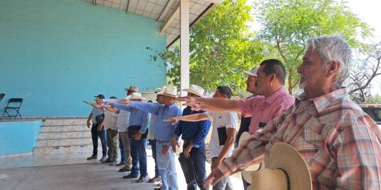 En Zirahuén, FGE asegura predio relacionado en tala y cultivo ilegal de aguacate